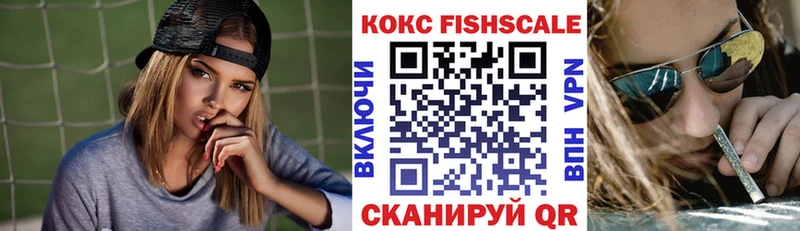 КОКАИН FishScale  где купить наркоту  Александровск-Сахалинский 